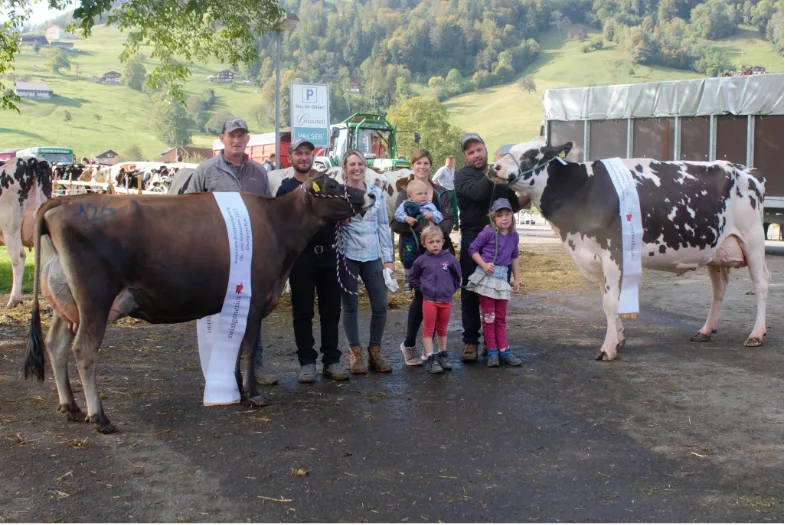 Holstein Das sind die diesjährigen Holstein- und Jersey-Champions aus Ob- und Nidwalden