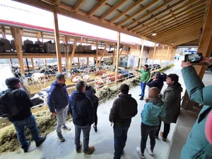 Um steigenden Anforderungen ans Tierwohl genügen und marktorientiert produzieren zu können, müsse die Landwirtschaft entsprechende Gebäude errichten können. Ein Beispiel ist der neue Stall der Generationengemeinschaft von Fritz und Michael Balsiger.