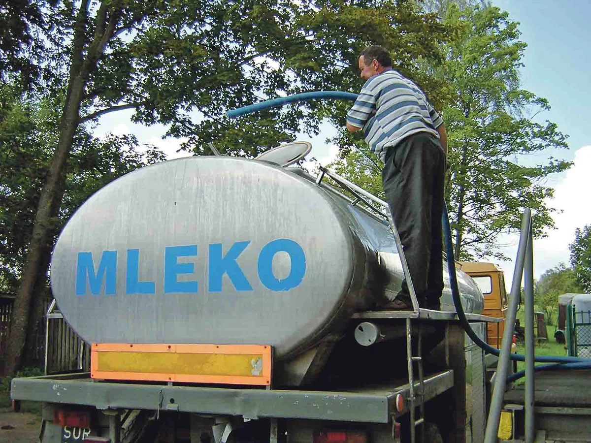 Noch nie haben die europäischen Bauern so viel Milch produziert – nur weiss bald niemand mehr, wohin damit. Die Preise sind tief. (Bild A. Thomsen)