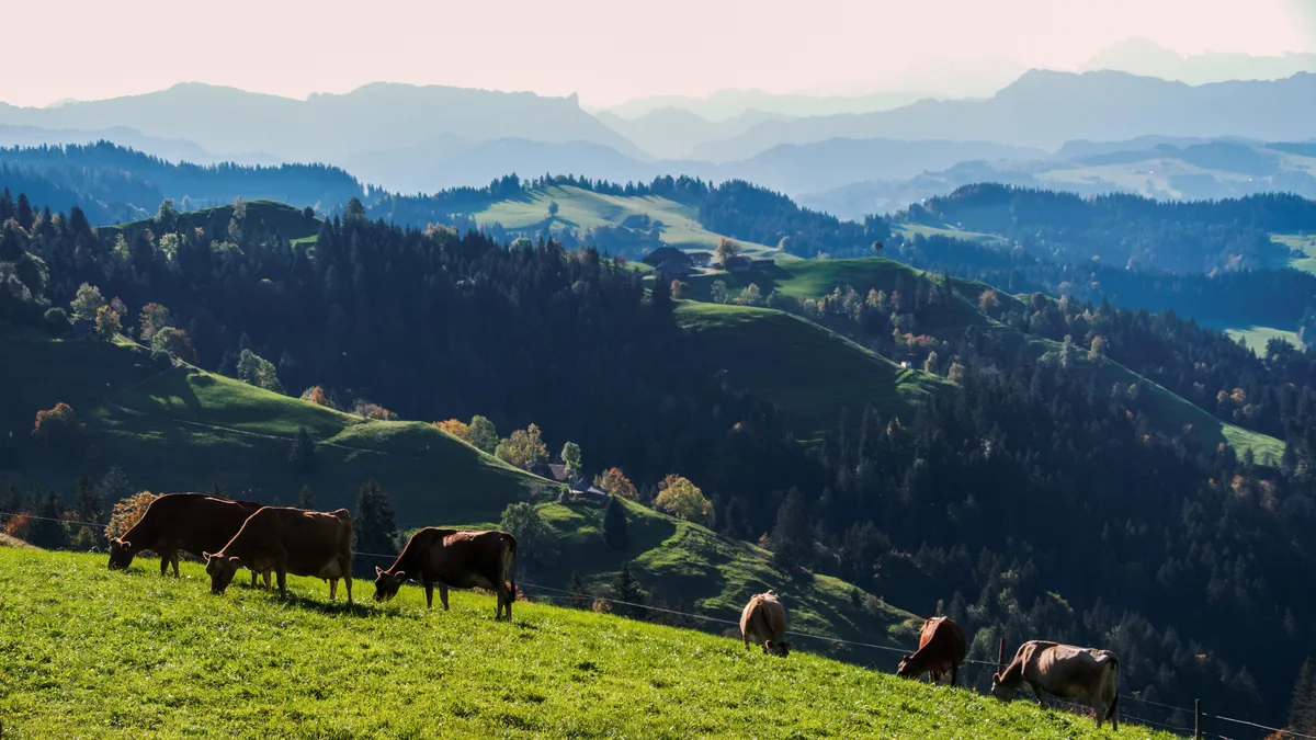 Die Schweiz hat eigene Vorstellungen von Tierwohl und Tierschutz. Haben die Bilateralen III einen Einfluss auf dieses eigenständige Denken? 