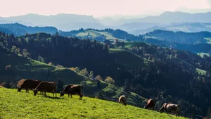 Die Schweiz hat eigene Vorstellungen von Tierwohl und Tierschutz. Haben die Bilateralen III einen Einfluss auf dieses eigenständige Denken?