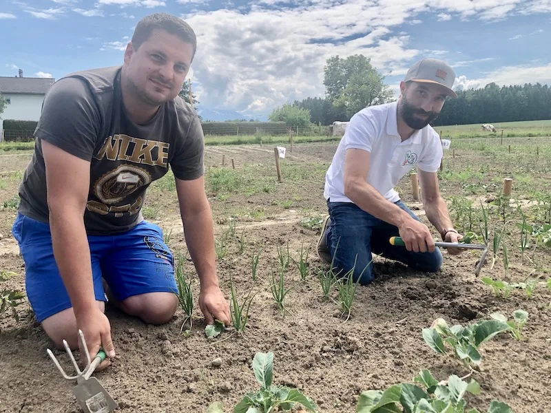 5ef720fa0545d327265ffae49a8d618af519a461 Marcel Villiger (l.) und Raphaell Schär beim Jäten der Gemüse-Kleinparzellen. Am Bildschirm kann sie der Kunde dabei via Webcam beobachten. (Bilder Esther Thalmann)