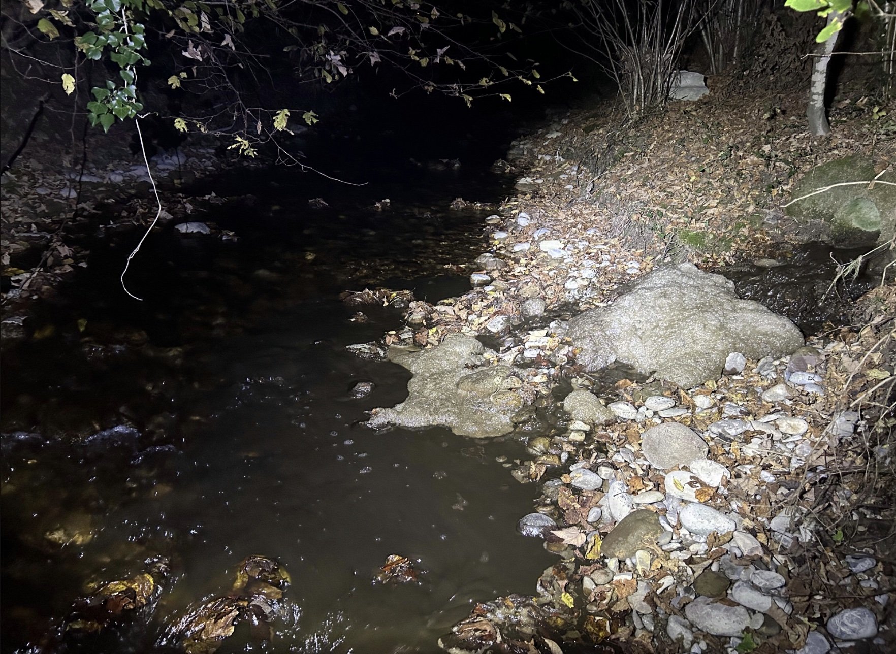 Gülle im Bach