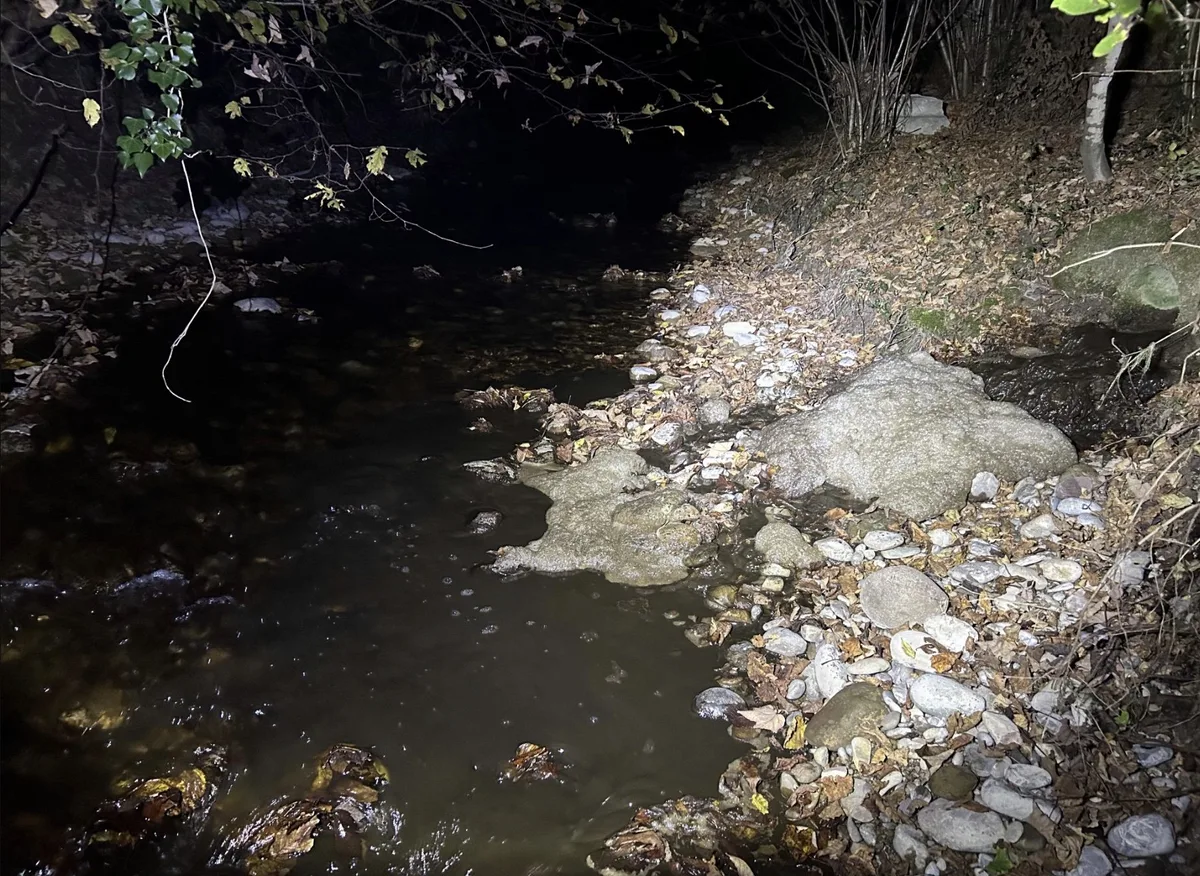 Guellejona Gülle im Bach