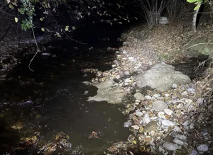 Die genaue Menge an Verunreinigung, die in den Lattenbach gelangte ist unbekannt