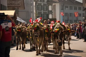 Die Entlebucher Alpabfahrt findet dieses Jahr nicht statt. (Archivbilder BauZ)