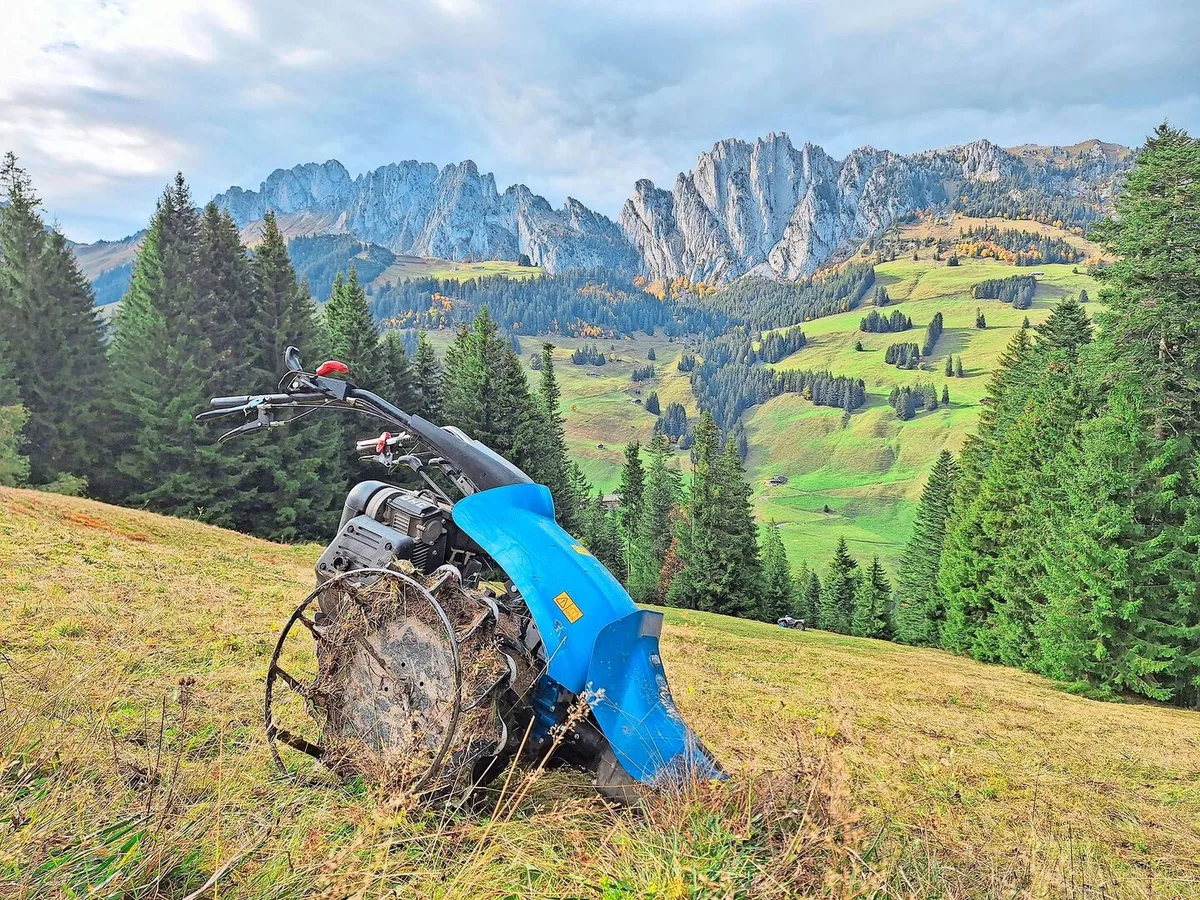 Bei gutem Wetter und mit so einer schönen Aussicht macht das Mähen Jolanda Wyttenbach Spass.