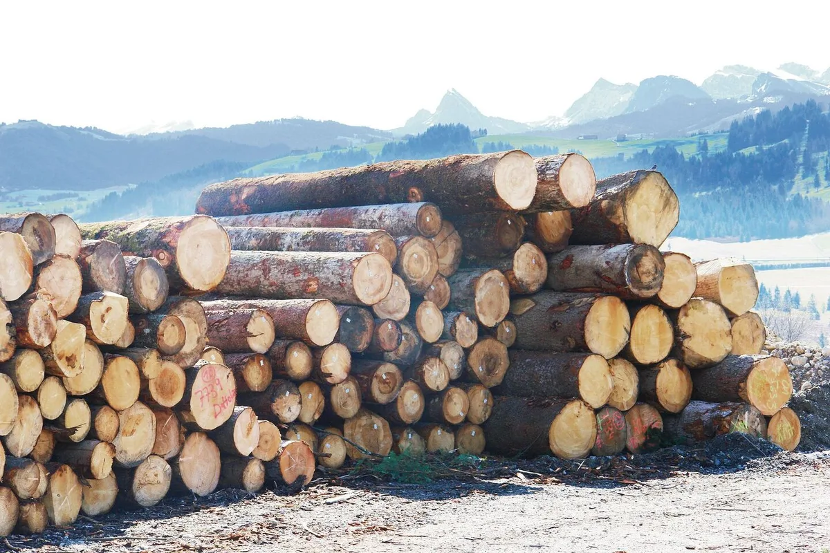 74852e074cd9c77f77d4ae5184dda4b8051a093b827a4f98ffc6c48c7e04eae2 Wegen der Baukrise in Deutschland ist auch der Druck auf die Preise von Schweizer Rundholz merkbar angestiegen.