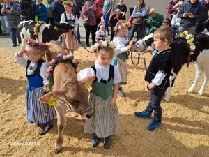 Die Kinder im vollen Einsatz beim Kälberwettbewerb.
