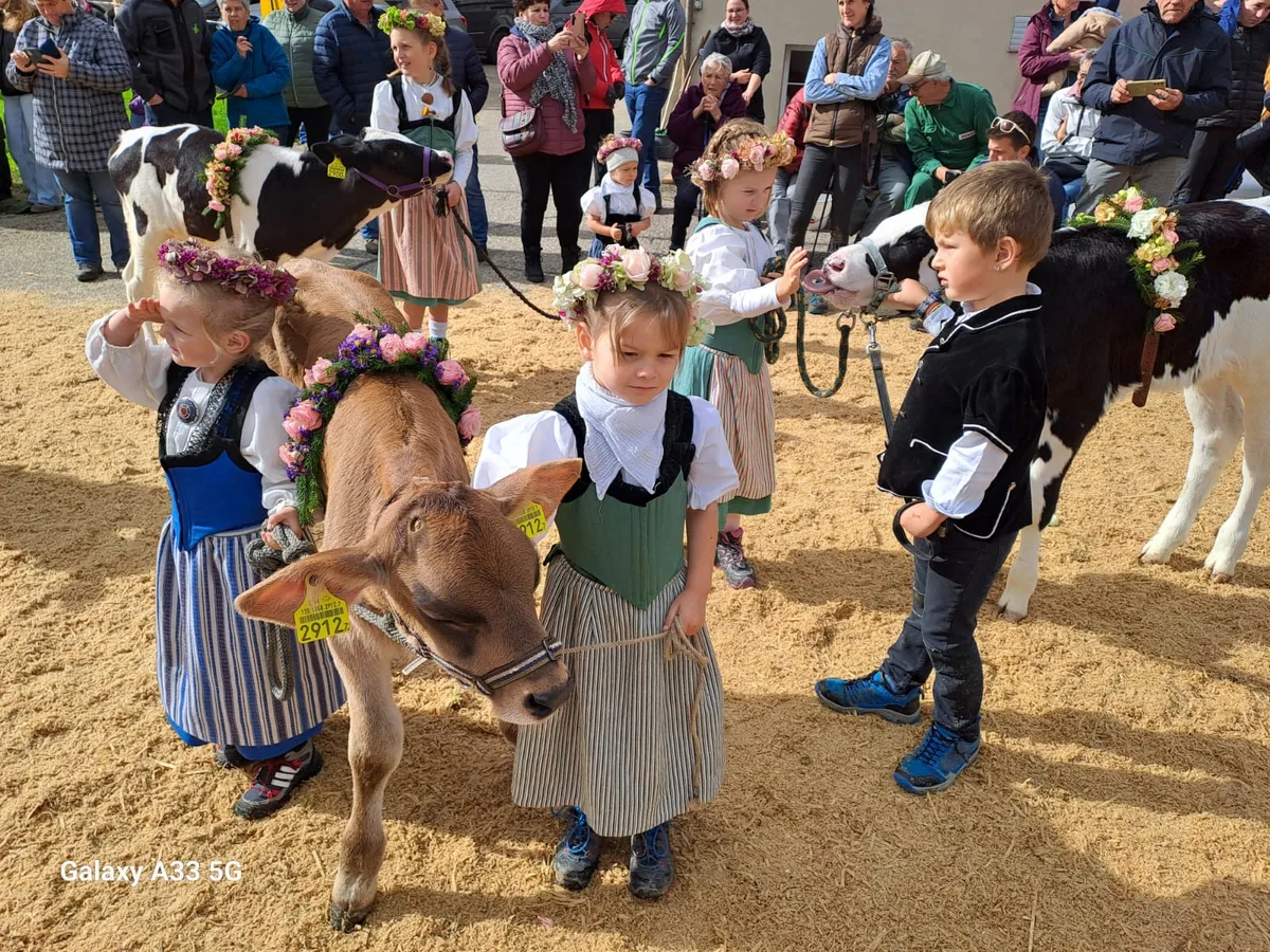 Jungzu__chter Schöne Herbstviehschau im bernischen Rumisberg