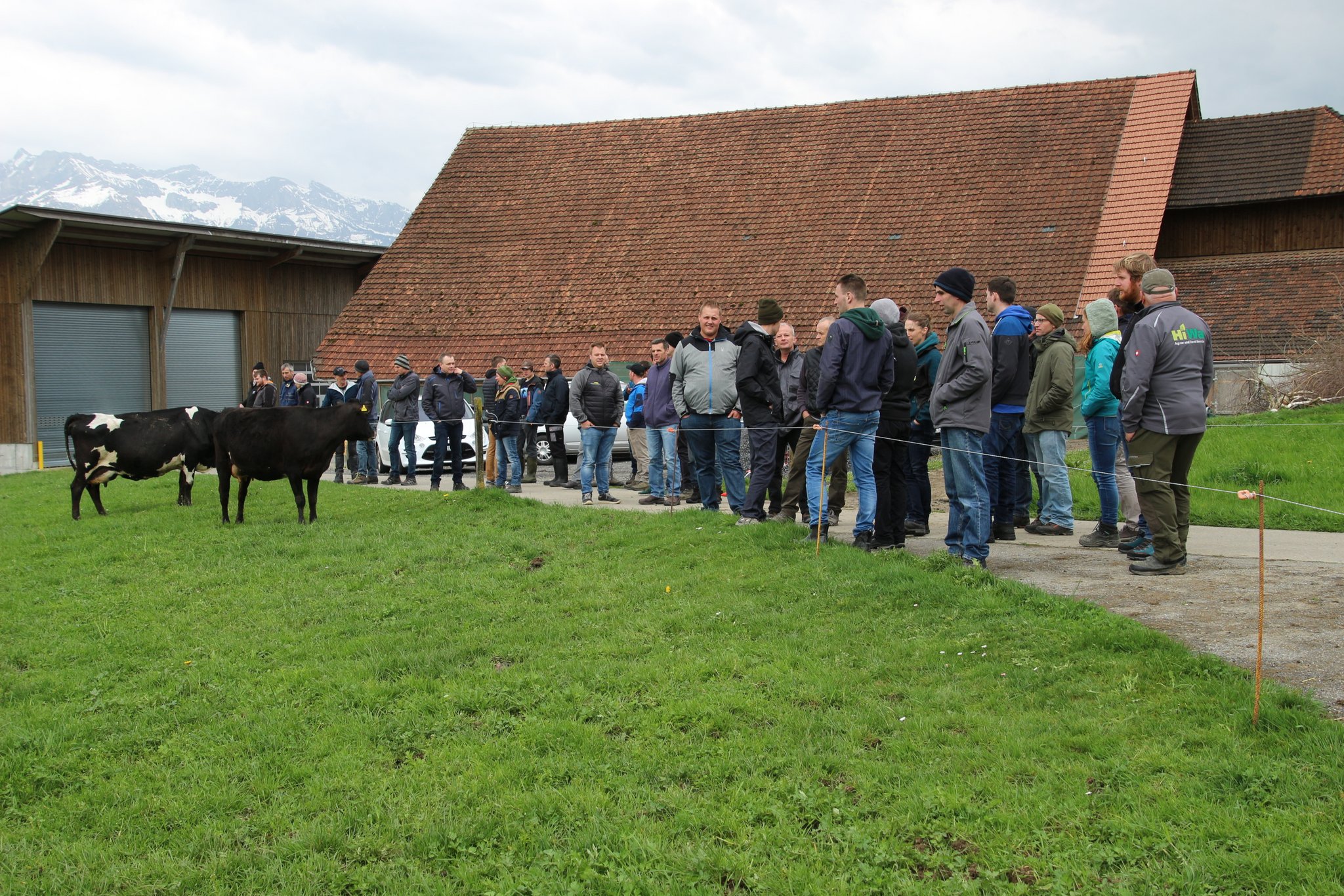 Die IG Weidemilch besuchte einen Betrieb mit effizienten Weidekühen aus eigener Zucht