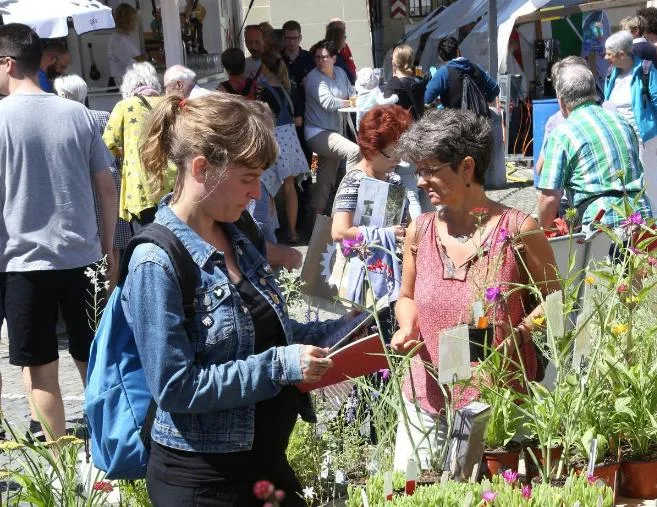 0abcf6f193703a05207fc086b54a30bf600a7bed So sah es am Bio Marché im 2018 aus. (Bild Facebook Bio Marché)
