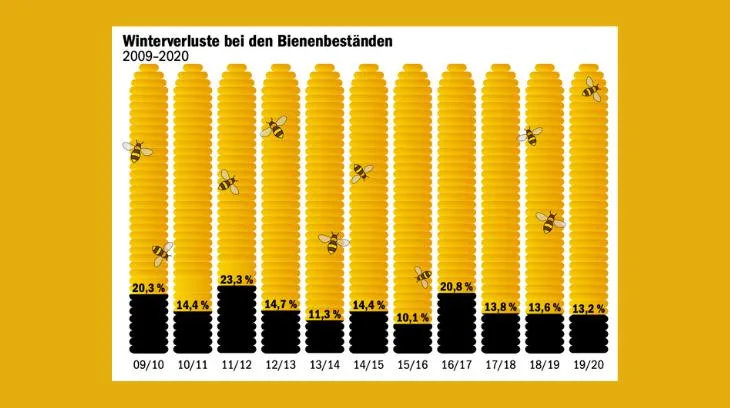 3e39132ddc84f7824876420fe7b1776e70964edb Die meisten Bienenvölker erwachen im Frühling wieder, aber in jedem Jahr gibt es Verluste. (Grafik mi / Daten Bienen Schweiz)