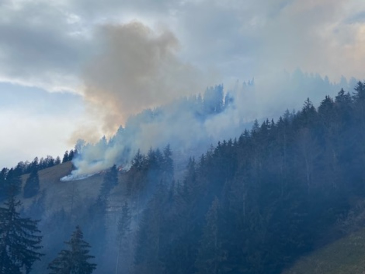 Das Feuer breitete sich auf einer Fläche von zirka 17'000 m2 aus. Es wurden keine Personen verletzt. (Bild Kapo FR)