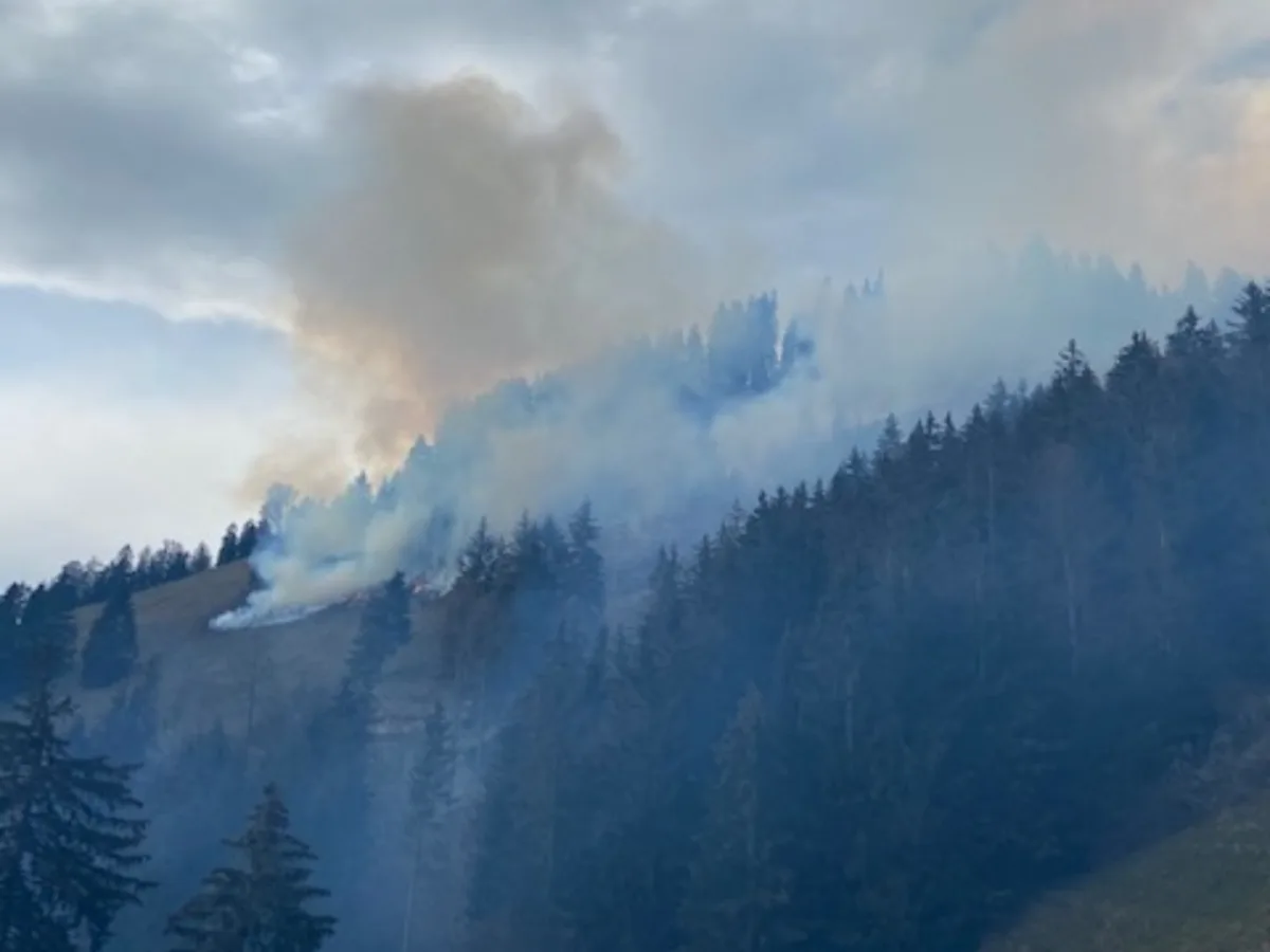 83159219aa7be044085d9a2e13d1a703a907ee08 Das Feuer breitete sich auf einer Fläche von zirka 17'000 m2 aus. Es wurden keine Personen verletzt. (Bild Kapo FR)