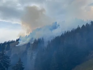 Das Feuer breitete sich auf einer Fläche von zirka 17'000 m2 aus. Es wurden keine Personen verletzt. (Bild Kapo FR)