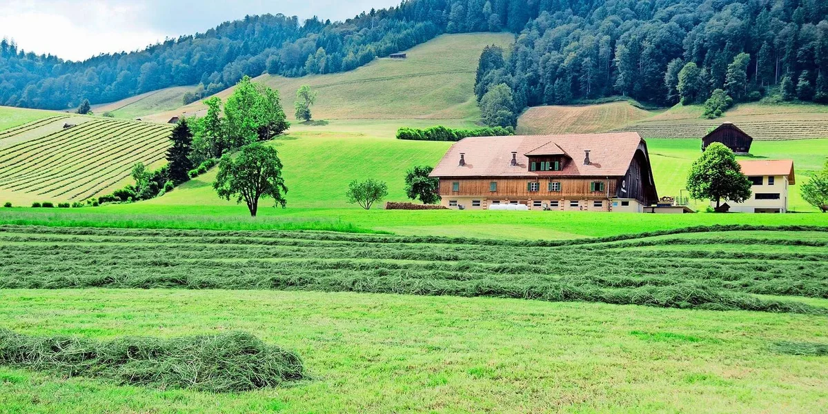 1c73887c695ded75cb7ebe7ee8d4744ddf53bd714626a6cb16624acf5cfab834 Laut der Untersuchung gibt es keine Hinweise darauf, dass auf Dauergrünland eine Zunahme der Kohlenstoffspeicherung stattfindet.