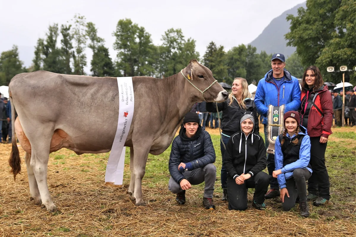 Belinda dominierte an der Urner Kantonalen Grossviehschau