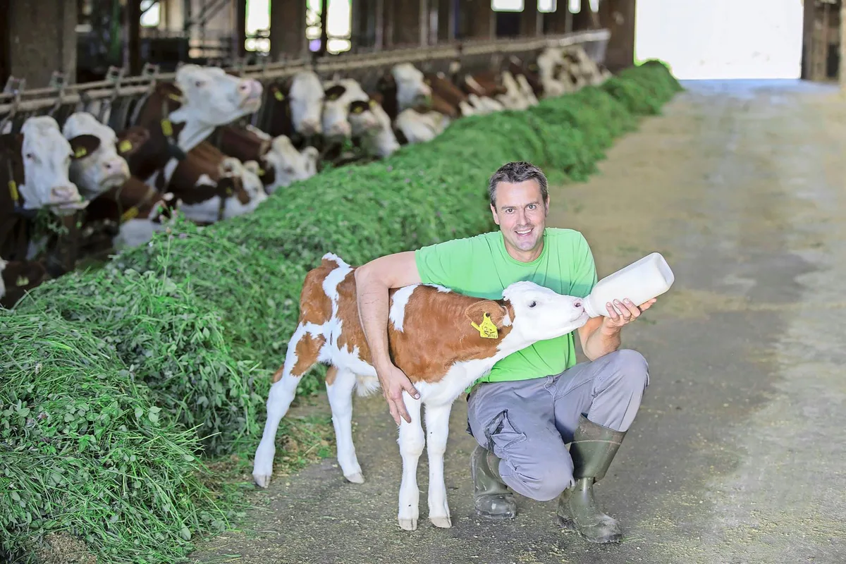 BZ-AKT1-10-Milch-sb Rücktritt, Richtpreis, Überproduktion: SMP-Präsident Boris Beuret stellt sich den harten Fragen