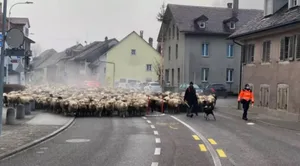 Ein kurzzeitig autofreier, dafür sehr wolliger Sonntagmorgen in Balsthal.