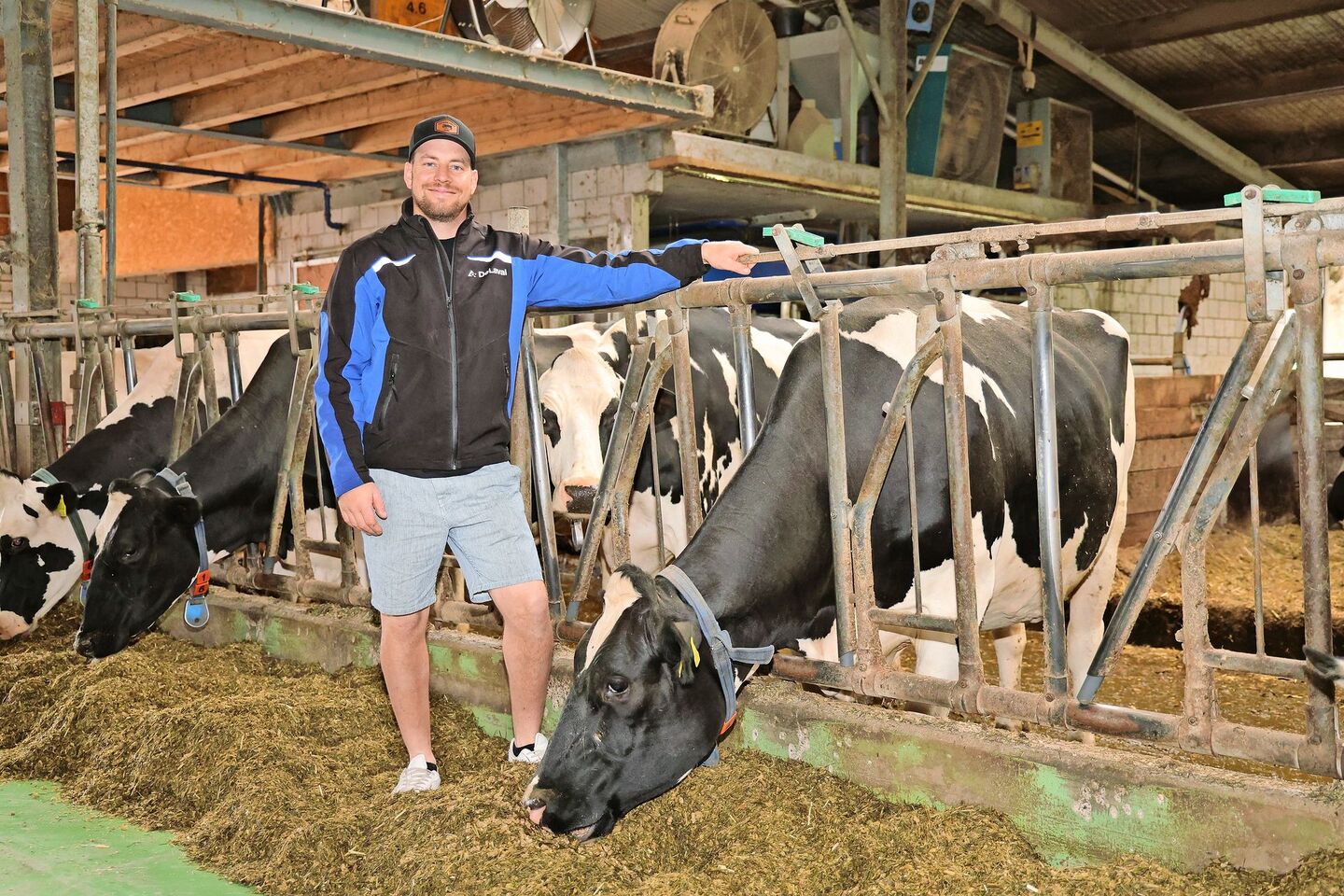 Pascal Krebs neben einer seiner 75 Milchkühe. Im Stall hält er Holstein, Red Holstein und Brown Swiss. Das Melken übernimmt ein Melkroboter, die Milchleistung beträgt 12 000 kg Milch pro Kuh und Jahr.