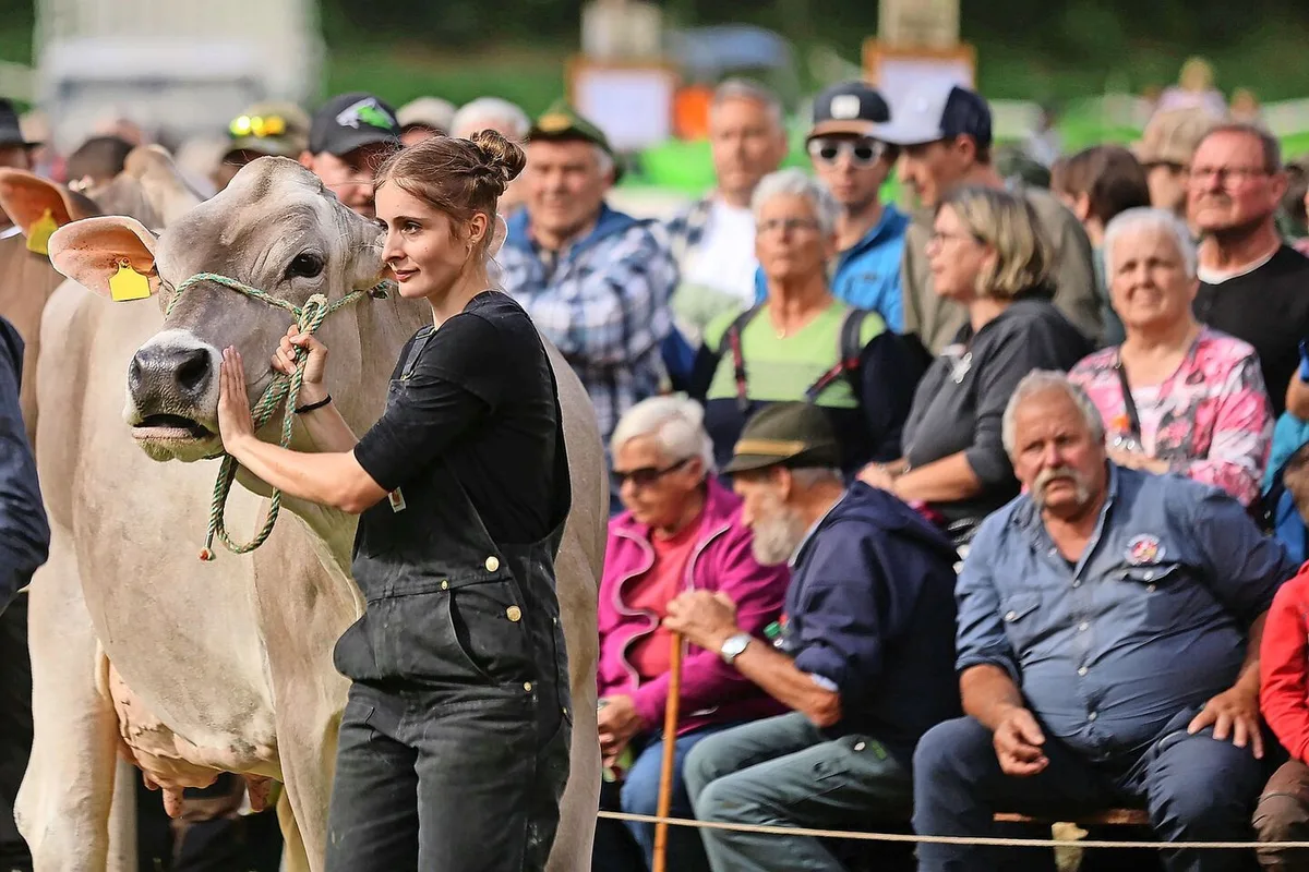 Viehschauen begeistern die Züchterinnen und Züchter und locken viel Volk auf die Schauplätze.