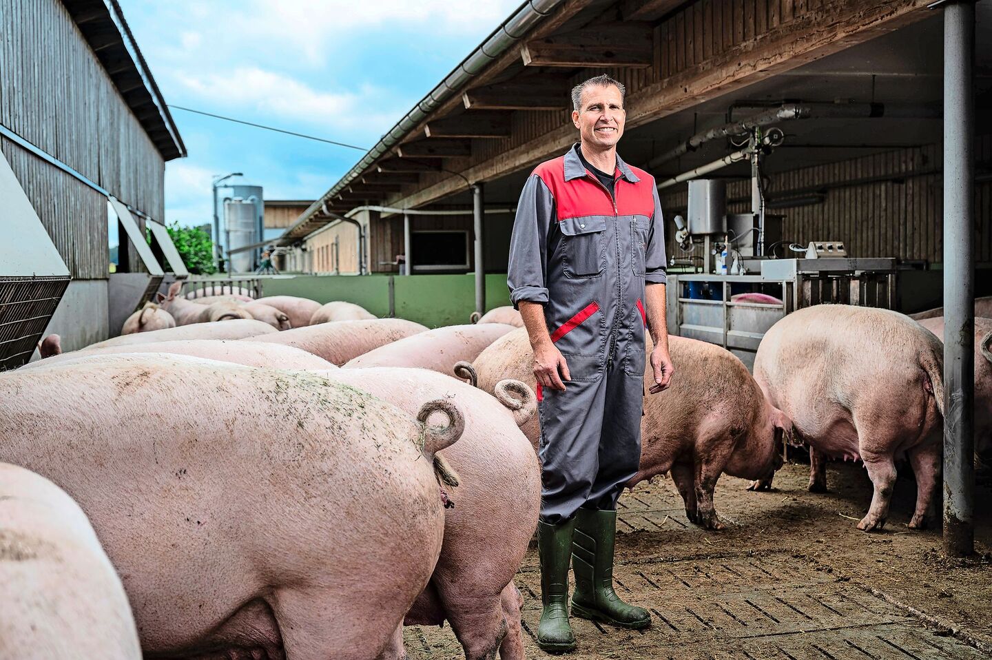 Peter Anderhubs Schweine tragen Ringelschwänze – in der Schweiz normal, in Deutschland vielerorts noch Zukunftsmusik.