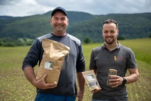 Ignace Berret, Geschäftsführer der landwirtschaftlichen Genossenschaft (rechts) freut sich, wenn Bauern wie Didier Parrat etwas Neues wagen und wie auf diesem Feld Chiasamen anbauen.