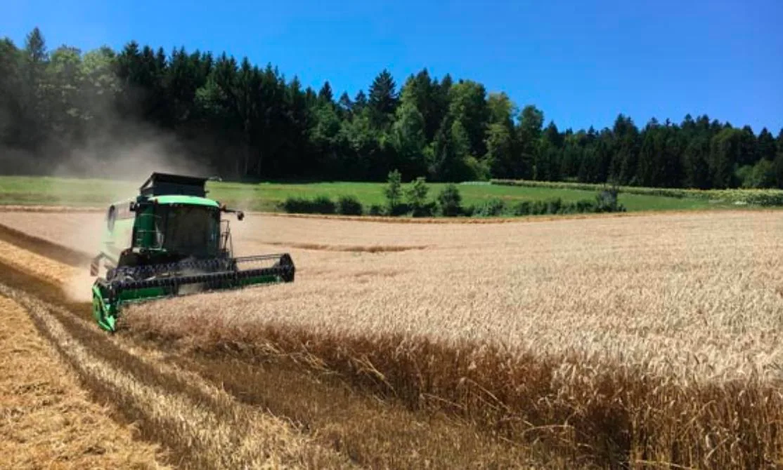 82a55d1ca2f9b97edd58d6f2a0c2a50c4c32065f Die Agrarallianz sieht die AP22+ als Übergangs-Programm zu mehr Eigenverantwortung. (Dominik Binder/landwirtschaft.ch)