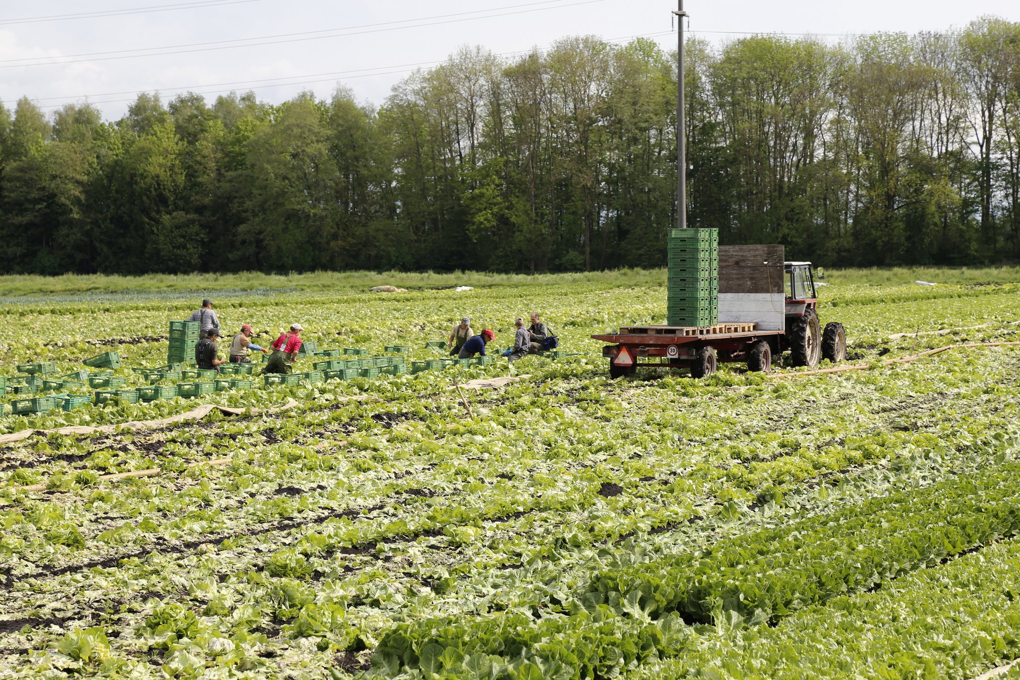 Das Auf und Ab des landwirtschaftlichen Einkommens