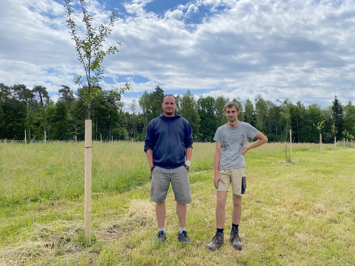 agroforst_wallenbuch_1 «Wir wollen den ganzen Betrieb auf Agroforst umstellen»