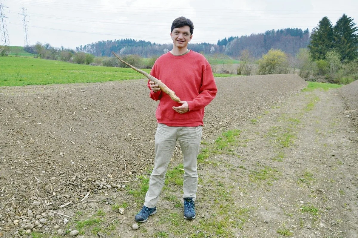 5b00f0bb9b32ec59710ef425e4eea72747060ffe Ortwin Schönholzer mit einer gelagerten Yamswurzel. (Bild Alexandra Stückelberger)