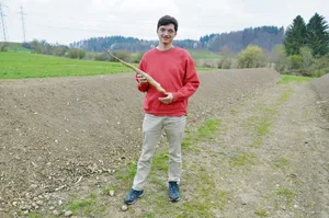 Ortwin Schönholzer mit einer gelagerten Yamswurzel. (Bild Alexandra Stückelberger)