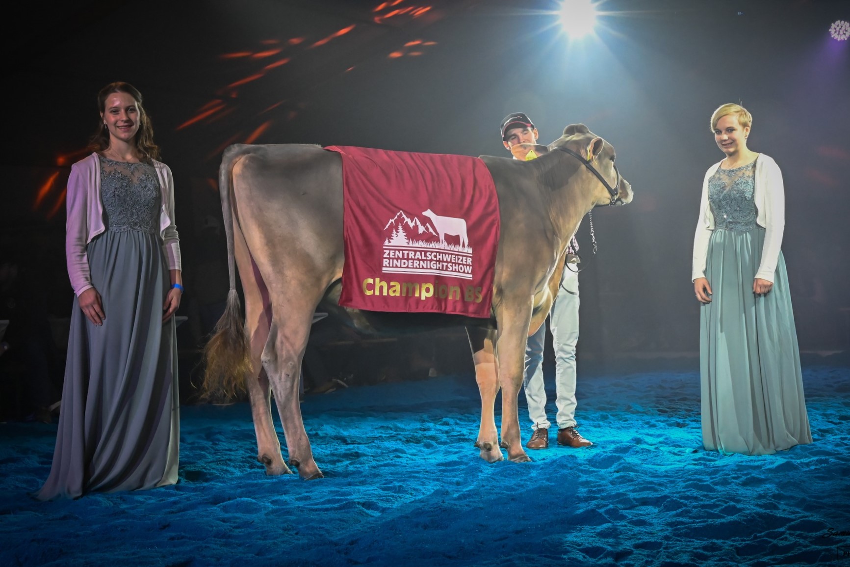 Eine Perle gewinnt die Zentralschweizer Rindernightshow