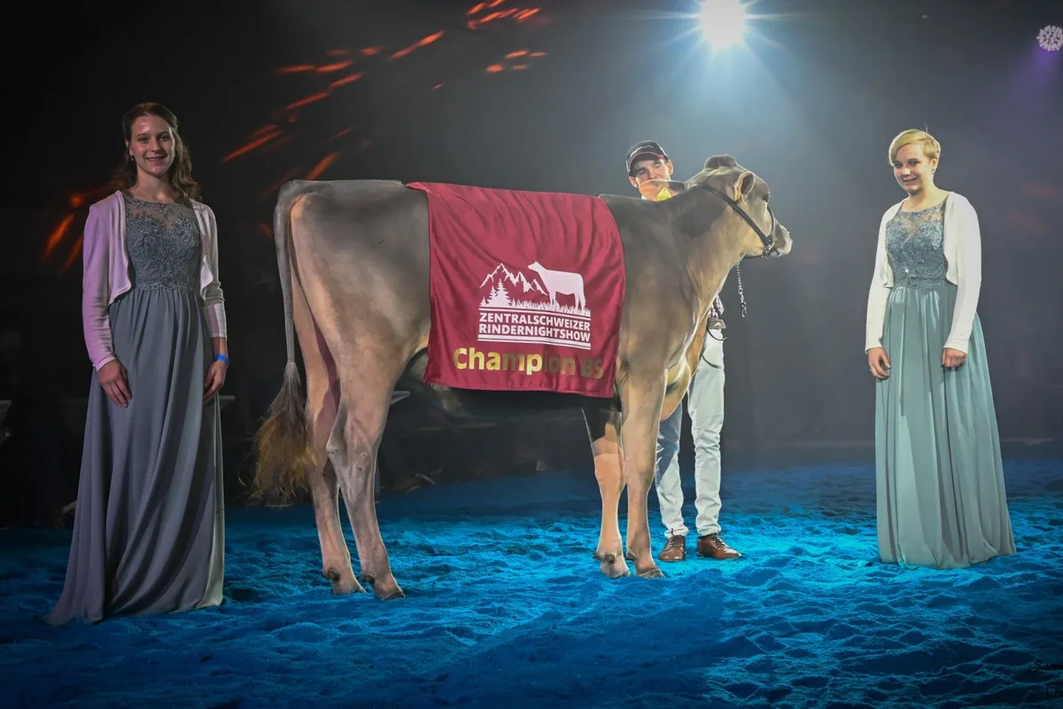 471830856_1128202189310489_671628597904543711_n Eine Perle gewinnt die Zentralschweizer Rindernightshow