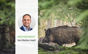 Matteo Aepli ist Geschäftsführer bei der Suisag.