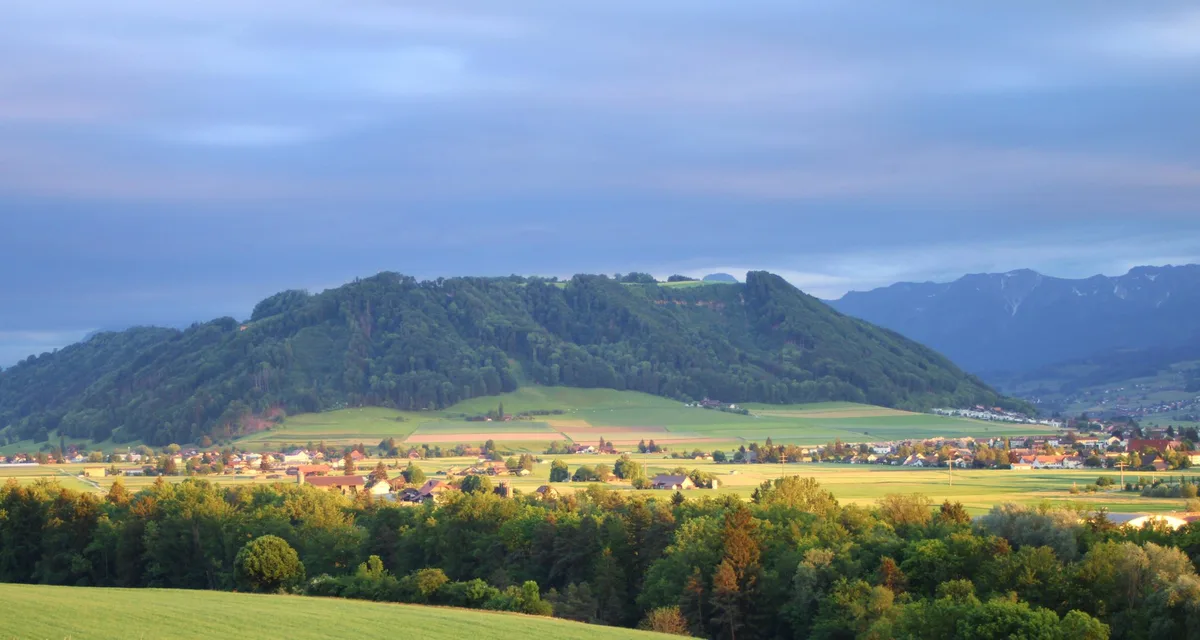 belp_michael_heck Der SBV ist bestürzt über die Pläne des Nationalrats zur Biodiversitäts-Initiative