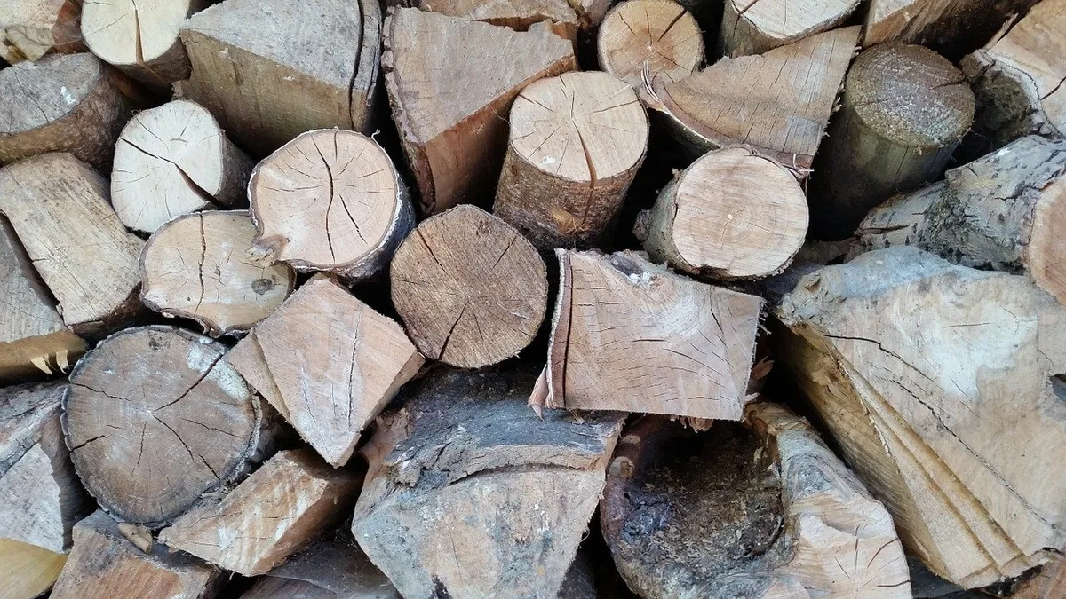 a28e8668fcad1e889ce361f04aae82f3e181bd89 Der Borkenkäfer hinterlässt massenhaft befallenes Holz, das aus dem Wald entfernt erden muss und den Holzmarkt belastet. (Bild JoergPeters/Pixabay)