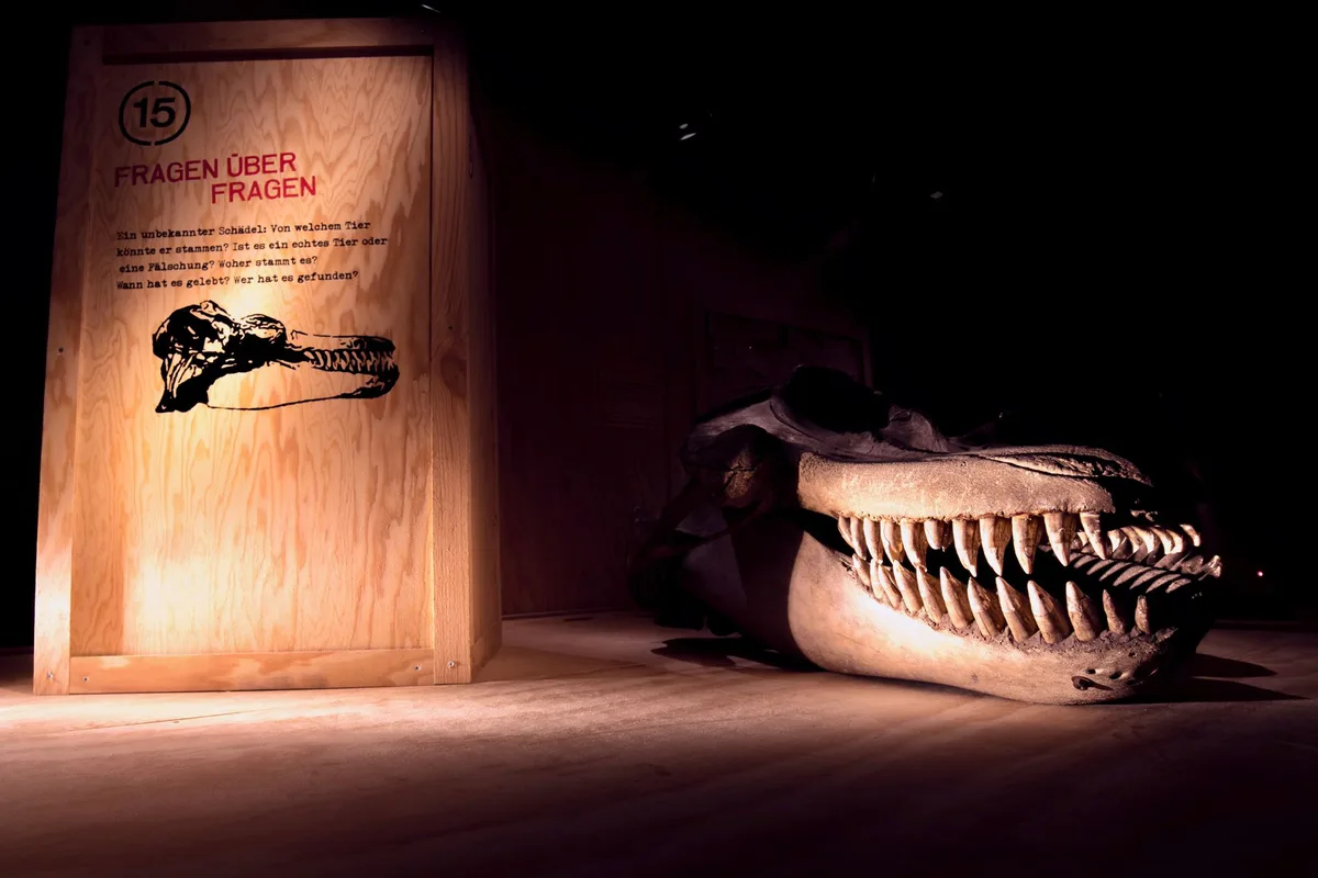 abdee7c0b9af189e391fcd90b91f38e152169216 Sonderausstellung «FRAGILE» des Naturamas Aargau (Bild Naturama/Oliver Teil)