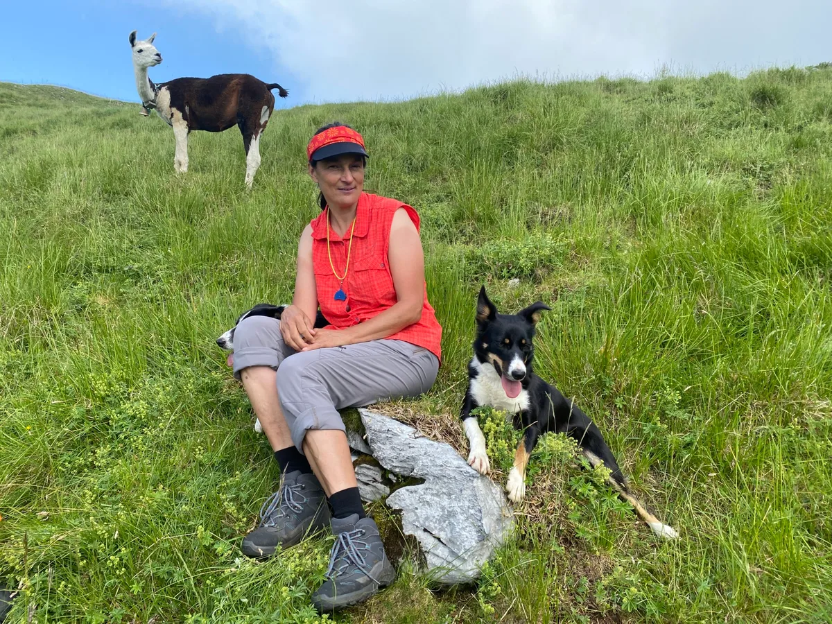 c4ec5866365960c3eb36f256b5211da6561bba7d Lisbeth Luchsinger mit ihren beiden Border Collies Samira und Briana. Zusammen mit den beiden Lamas Luigi (im Bild) und Kishu tragen sie zum Schutz der Schafherde bei. (Bilder Katrin Erfurt)