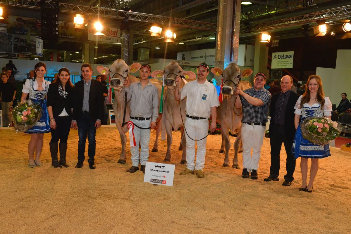 dd0389ce437314731b179768695797e434fd61bf Vizechampionne und Championne Euter alt: Jongleur Soraya, Matthias und Markus Süess, Andwil. Championne und Vizechampionne Euter alt: Jongleur Elisa, Adrian Arpagaus, Falera. Ehrenerwähnung: Zinsli’s Jongleur Wachtel, Martin Zinsli, Thalkirch. (Bild IGBS)