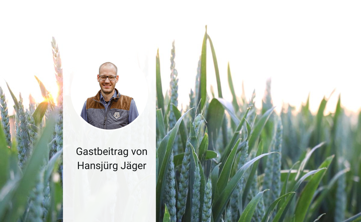 Fragiles Gleichgewicht bei der Landesversorgung: Es gibt keine einfachen Lösungen