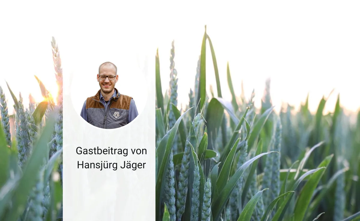 gastbeitrag-13-3 Fragiles Gleichgewicht bei der Landesversorgung: Es gibt keine einfachen Lösungen