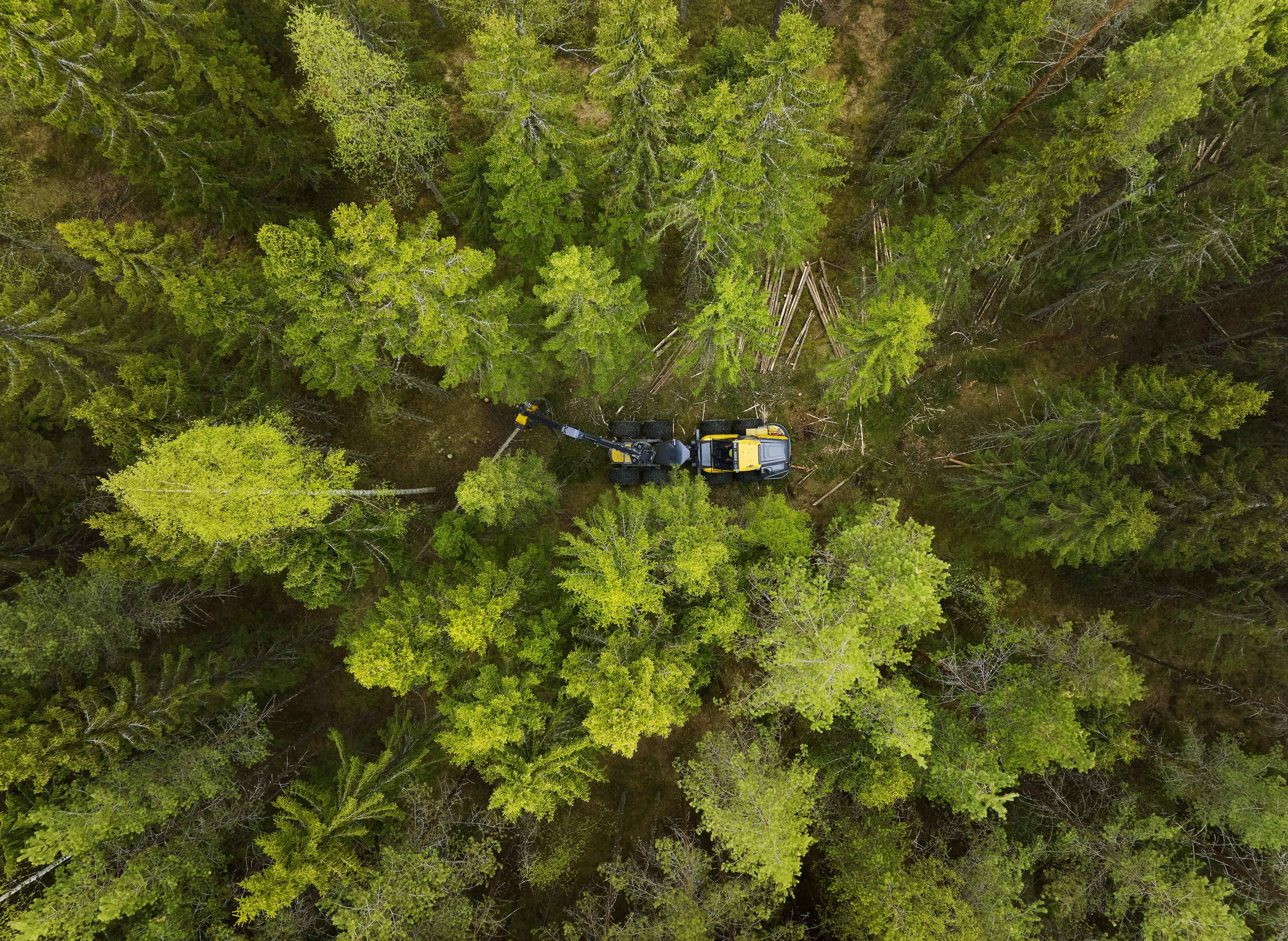 Ein Ponsse Vieremä HPP mitten im Bestand: Ob sich ein Harvester lohnt, hängt von Gelände, Bäumen und Boden ab, und im Privatwald oft von den Nachbarn.