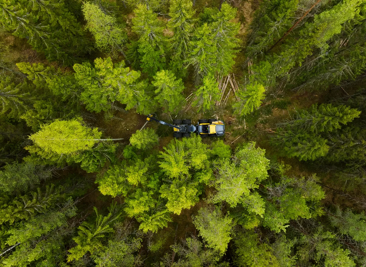 Ponsse Vieremä HPP 24.5.2024
 Ein Ponsse Vieremä HPP mitten im Bestand: Ob sich ein Harvester lohnt, hängt von Gelände, Bäumen und Boden ab, und im Privatwald oft von den Nachbarn.