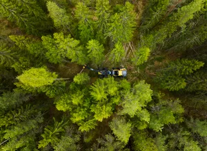 Ein Ponsse Vieremä HPP mitten im Bestand: Ob sich ein Harvester lohnt, hängt von Gelände, Bäumen und Boden ab, und im Privatwald oft von den Nachbarn.