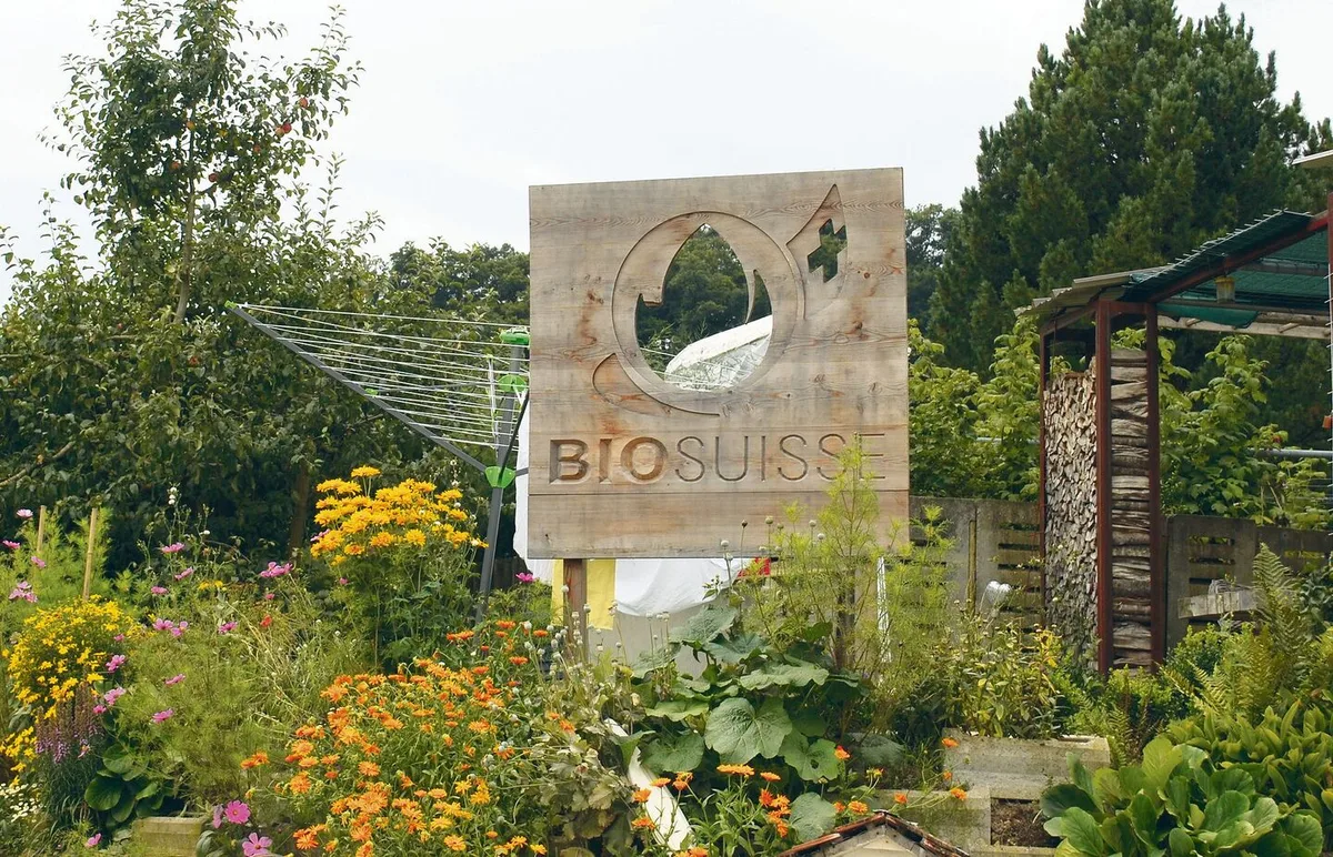 049d4f8c80f4bc8a524dec28f310b0a2c681a1c04937b05edaa78d55f1e9871d Zwang zur Knospe: Berner SP-Politiker wollen einen Hof gegen den Willen des Bauern umstellen.