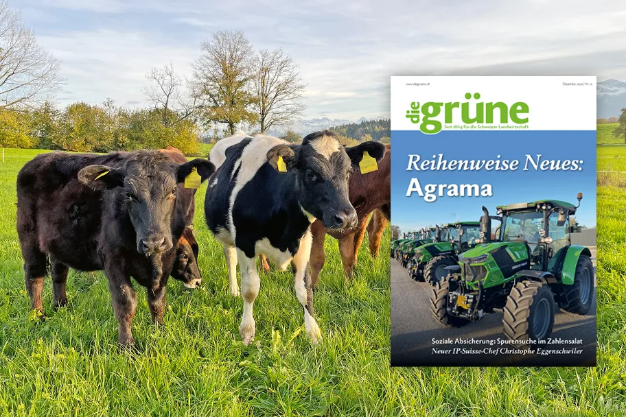 «die grüne» im Dezember 2022 – Reihenweise Neues: Agrama