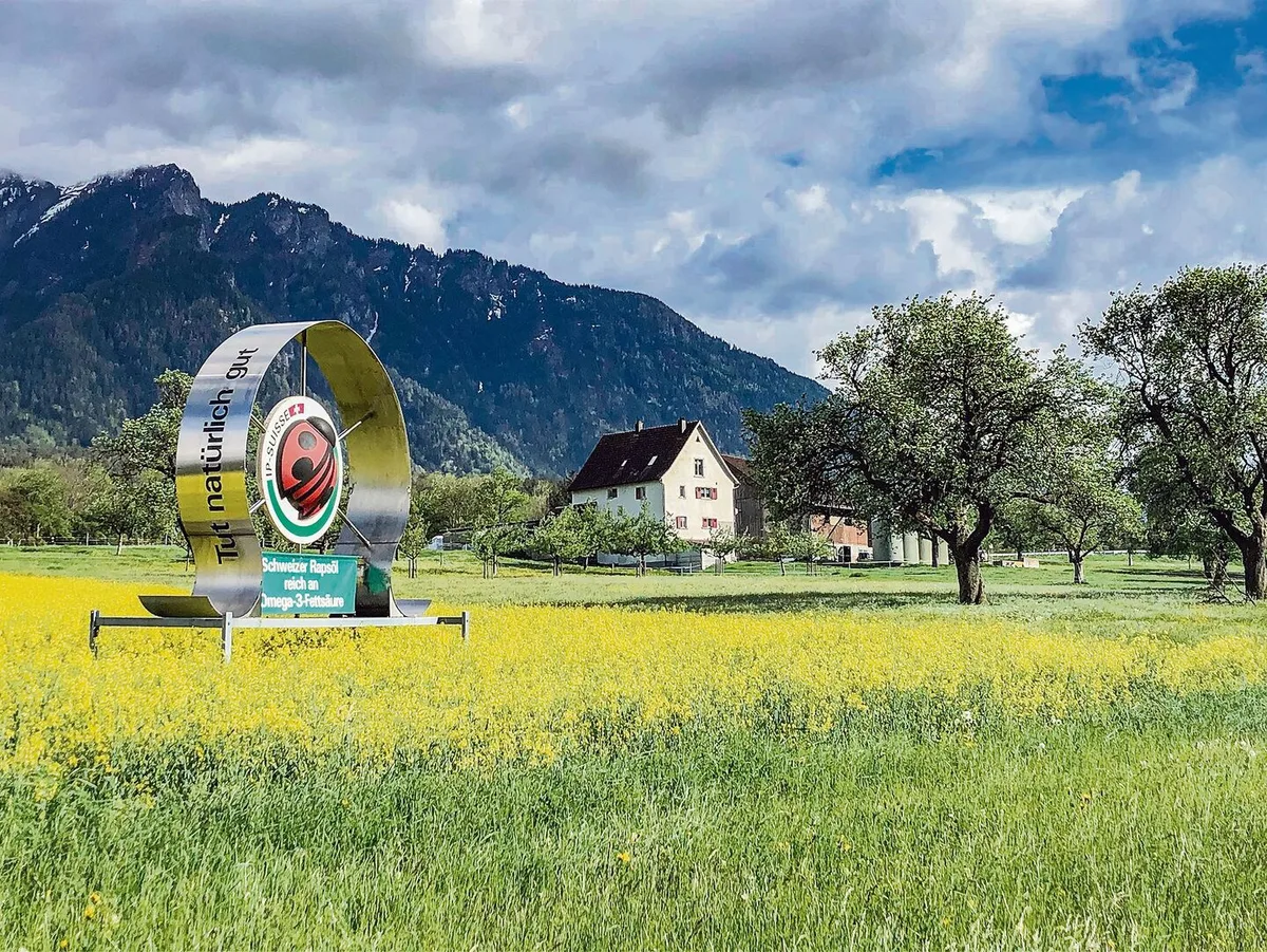 f2750e6d712f2e69f57b74c68f9de70c4731caf82309b200dd28118fb49dee81 Auch dieses Jahr platziert IP-Graubünden in der Nähe der Autobahn einen Rapswagen, um die Konsument(innen) über die Produktion von gesundem Rapsöl hinzuweisen.