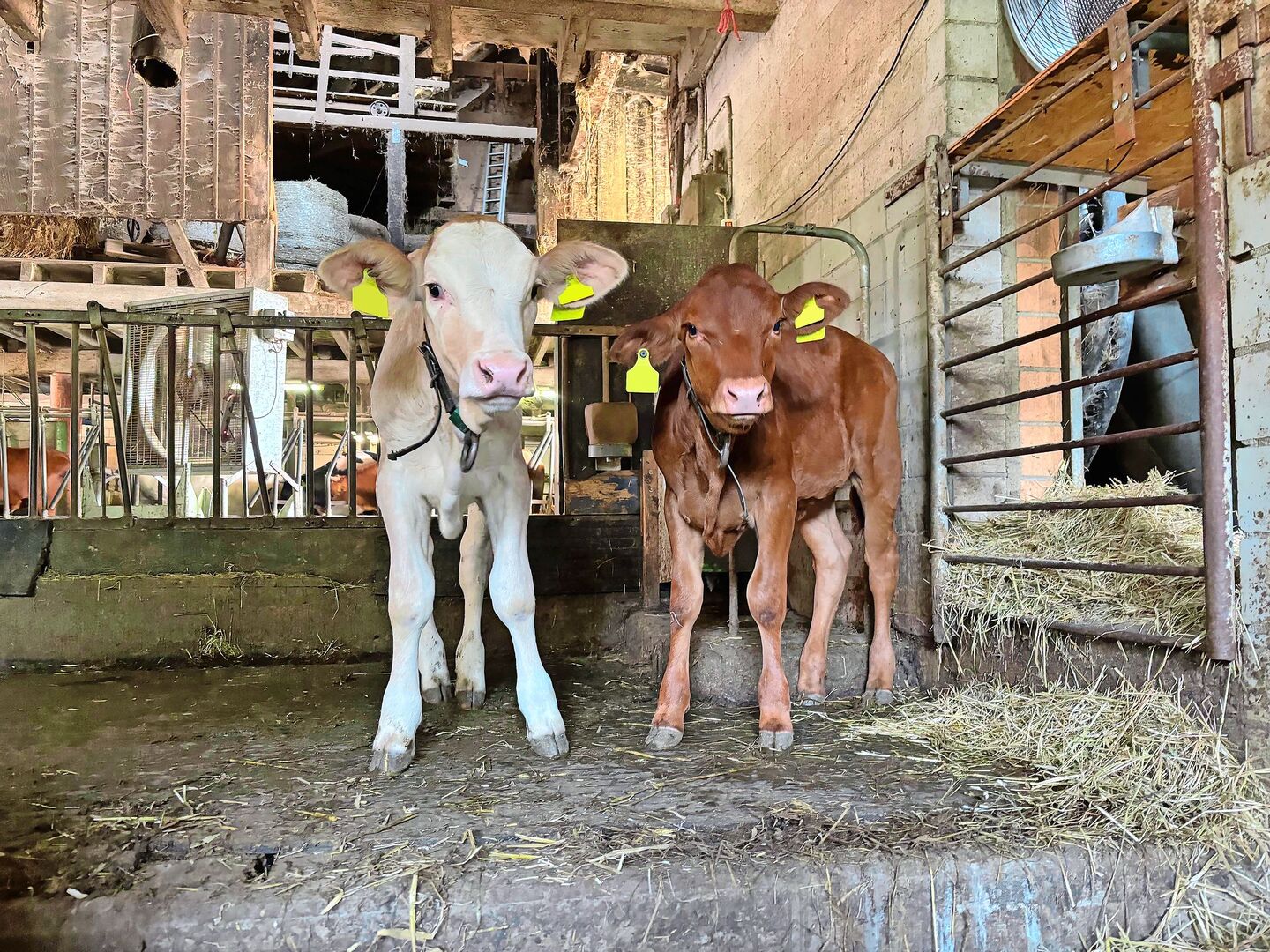 Aktuell lassen sich die Tränker noch platzieren, das dürfte sich aber schon bald ändern.